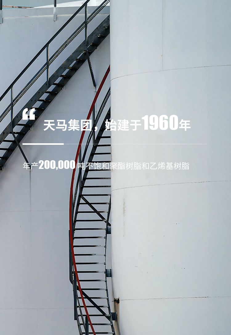 天馬集團(tuán)，始建于1960年